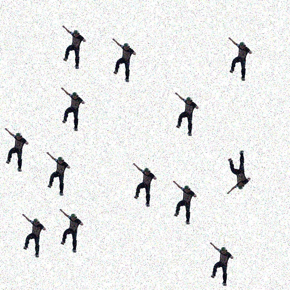 flipped person target example image degraded by 10% point noise